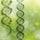 Benefits of CoQ10
